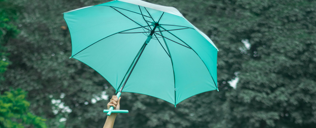 umbrella
